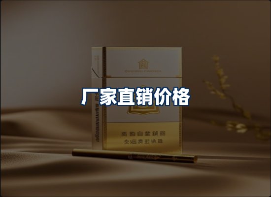 专业团队办公环境